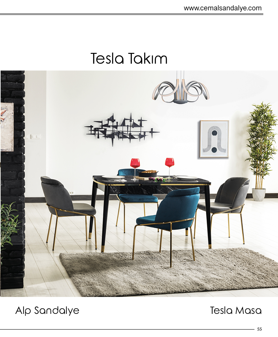 TESLA TAKIM
